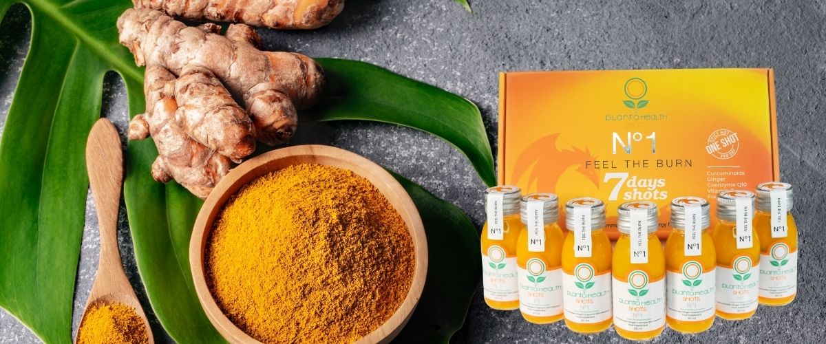 PlantoHealth Shot’ların Sırrı: Bilim ve Gingerolün Gücü